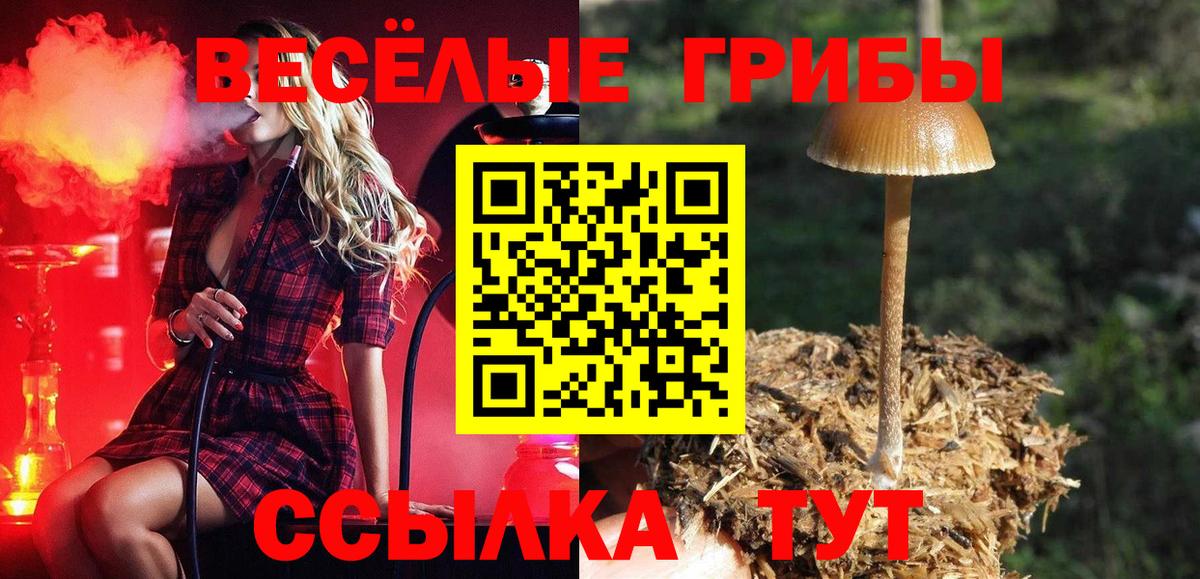 Пыть-Ях  Псилоцибиновые грибы мицелий  Вход с VPN  Галлюциногенные грибы MAGIC MUSHROOMS 